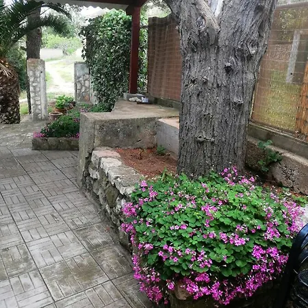 Elena & Damir Apartman *